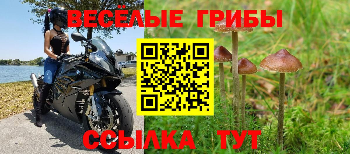 Октябрьский  Псилоцибиновые грибы GOLDEN TEACHER  Вход с VPN  Галлюциногенные грибы мухоморы 