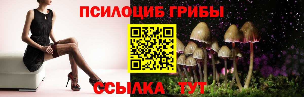 Галлюциногенные грибы Psilocybine cubensis Октябрьский